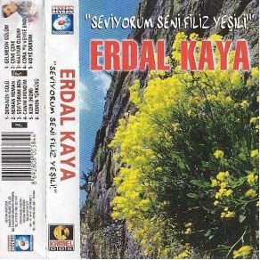 Download track Dersimin Gülü Erdal Kaya