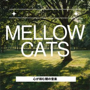 Download track Gentle Morning Burst The Mellow Cats