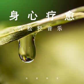 Download track 疲惫消除 (优美轻音乐) 治愈纯音