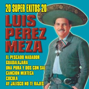 Download track La Feria De Las Flores Luis Perez Meza