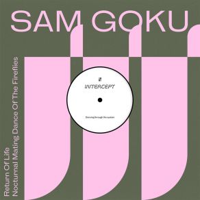 Download track Nocturnal Mating Dance Of The Fireflies Sam Goku