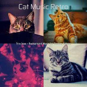 Download track Cultivated Backdrops For Kittens Cat Music Retro