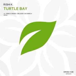 Download track Turtle Bay (Marco Grandi Remix) Rishi K.