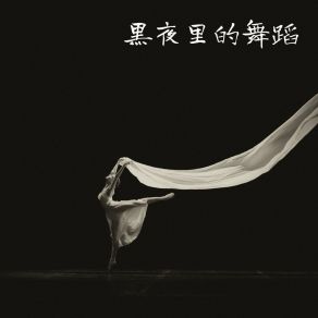 Download track 黑夜里的舞蹈 幻境音乐厂