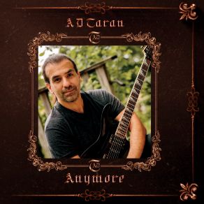 Download track Diamond In The Rough (Acoustic Version) A. D. Taran