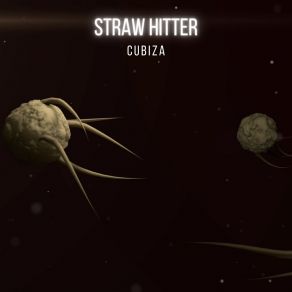 Download track Rush To The Moon Straw Hitter