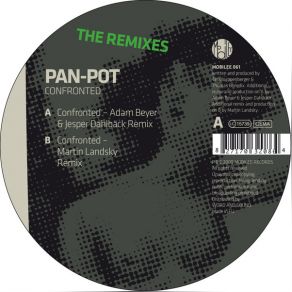 Download track Confronted (Martin Landsky Remix) Pan-Pot