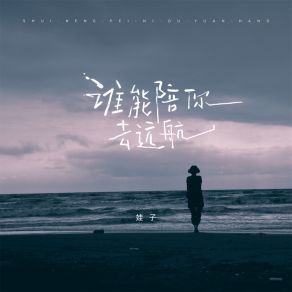 Download track 谁能陪你去远航 (伴奏) 娃子