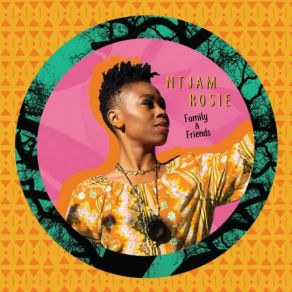 Download track I Know (Bonus Track - Acoustic Version) Ntjam Rosie