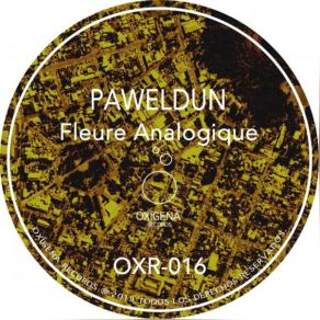 Download track Fleure Analogique (Alvaro Herrera Acid Remix) PaweldunAlvaro Herrera