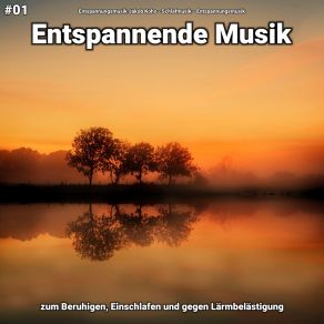 Download track Entspannende Musik Pt. 24 Entspannungsmusik