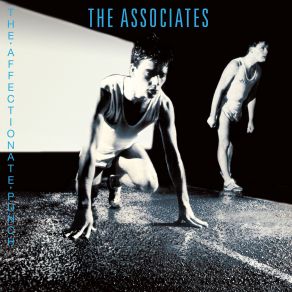 Download track The Affectionate Punch The Associates