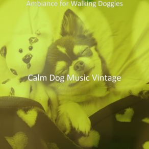 Download track Retro Backdrops For Calming Pups Calm Dog Music Vintage