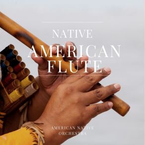 Download track Power Of Flying Eagle American Native Orchestra