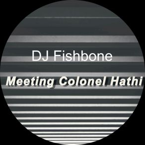 Download track Meeting Colonel Hathi (Radio Edit) DJ Fishbone