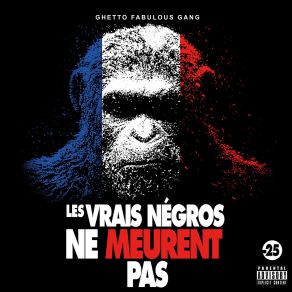 Download track Les Funérailles De Alpha 5.20 Ghetto Fabulous Gang