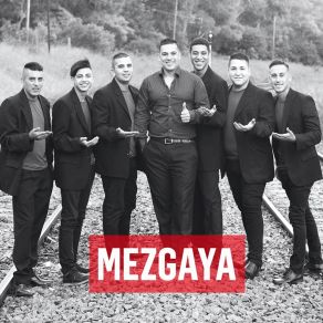 Download track Ave De Cristal Mezgaya