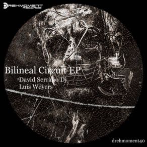 Download track Bilineal Circuit Luis Weyers