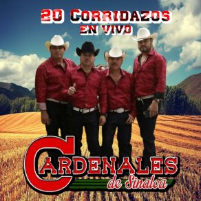 Download track La Yegua Cebruna (En Vivo) Los Cardenales De Sinaloa