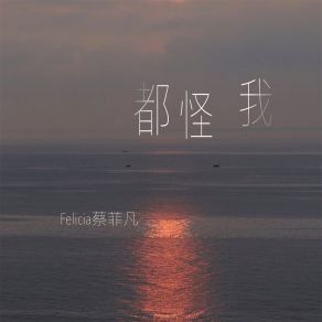 Download track 都怪我 (伴奏) Felicia蔡菲凡