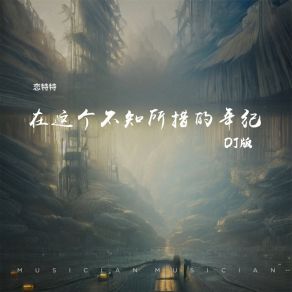 Download track 在这个不知所措的年纪 (DJ版) 阿能