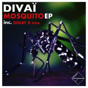 Download track Mosquito (Dolby D Remix) DivaïDolby D