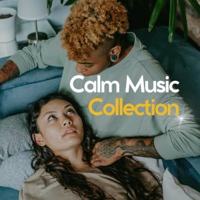 Download track Quiet Meditation Music, Pt. 5 Calm Music For Studying