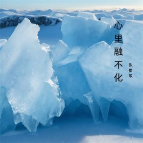 Download track 付东流水 张楷敬