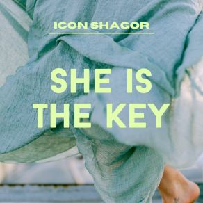 Download track Flash Nurses Icon Shagor