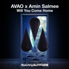 Download track Will You Come Home (Radio Edit) Avao, Amin Salmee