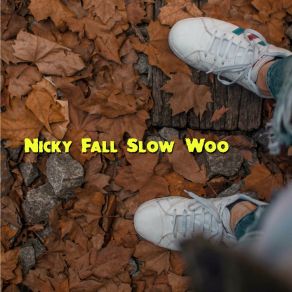 Download track Toosie Now Nicky Fall