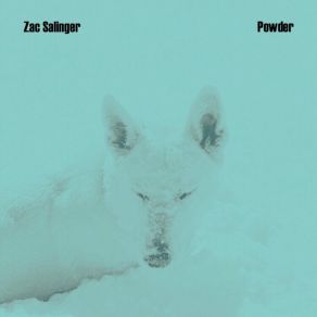 Download track Spaceship Zac Salinger