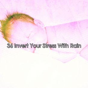 Download track Summer Rain Rain Sounds Nature Collection