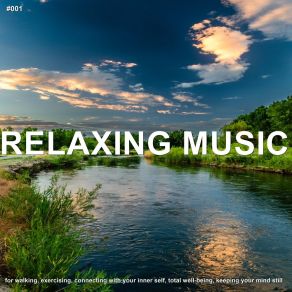 Download track Soothing Ballad Lullabies For Deep Meditation