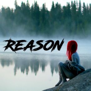 Download track Reason (Extended) DJ Toxiq