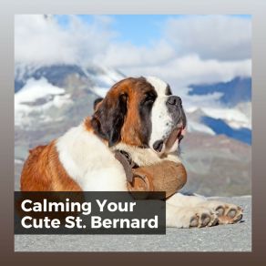 Download track Calming Doggy Times, Pt. 15 Calming For Dogs