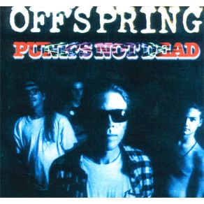 Download track Burn It Up The Offspring