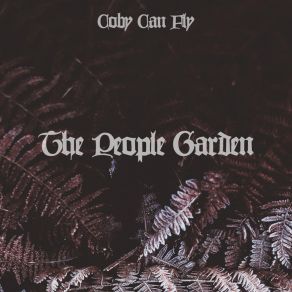 Download track A Postal Substitute Coby Can Fly