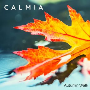 Download track Autumn Walk Calmia