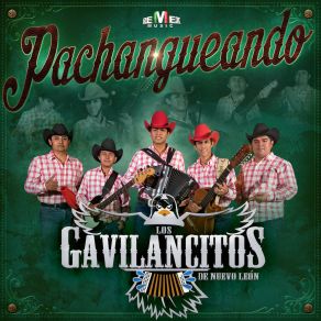 Download track De Ahí Pa'l Real Los Gavilancitos De Nuevo León