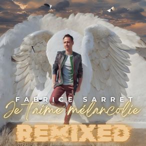 Download track Je T'aime Mélancolie Mauvaise Herbe Remix Fabrice Sarret