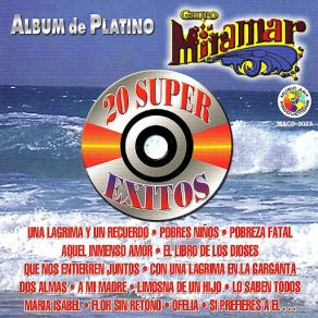 Download track Limosna De Amor Grupo Miramar