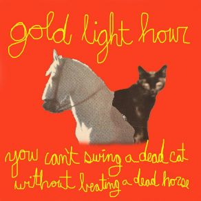 Download track Cold Gold Light Hour