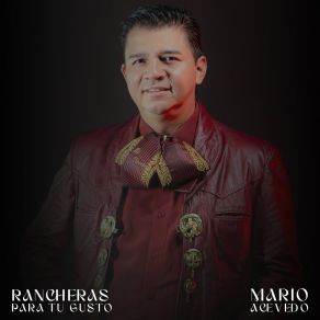 Download track El Amor Y Los Quereres Mario Acevedo