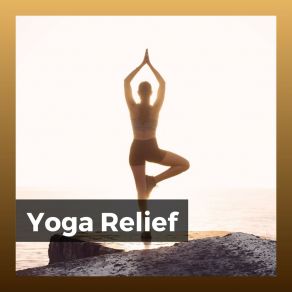 Download track Beautiful Yoga Stretches Stress Relief Helper