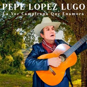 Download track Como Te Amo Jamas Pepe López Lugo