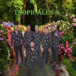 Download track Dame Una Oportunidad Tropicales