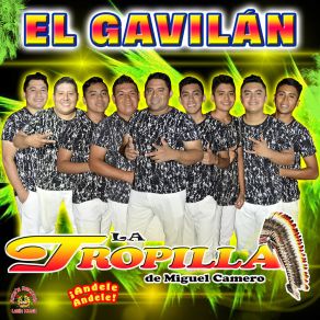 Download track La Zorra Salvaje La Tropilla De Miguel Camero