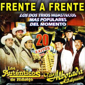 Download track A Mis Enemigos Trio Alborada Hidalguense