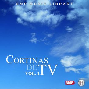 Download track Comunidad De Negocios Music Library BMP